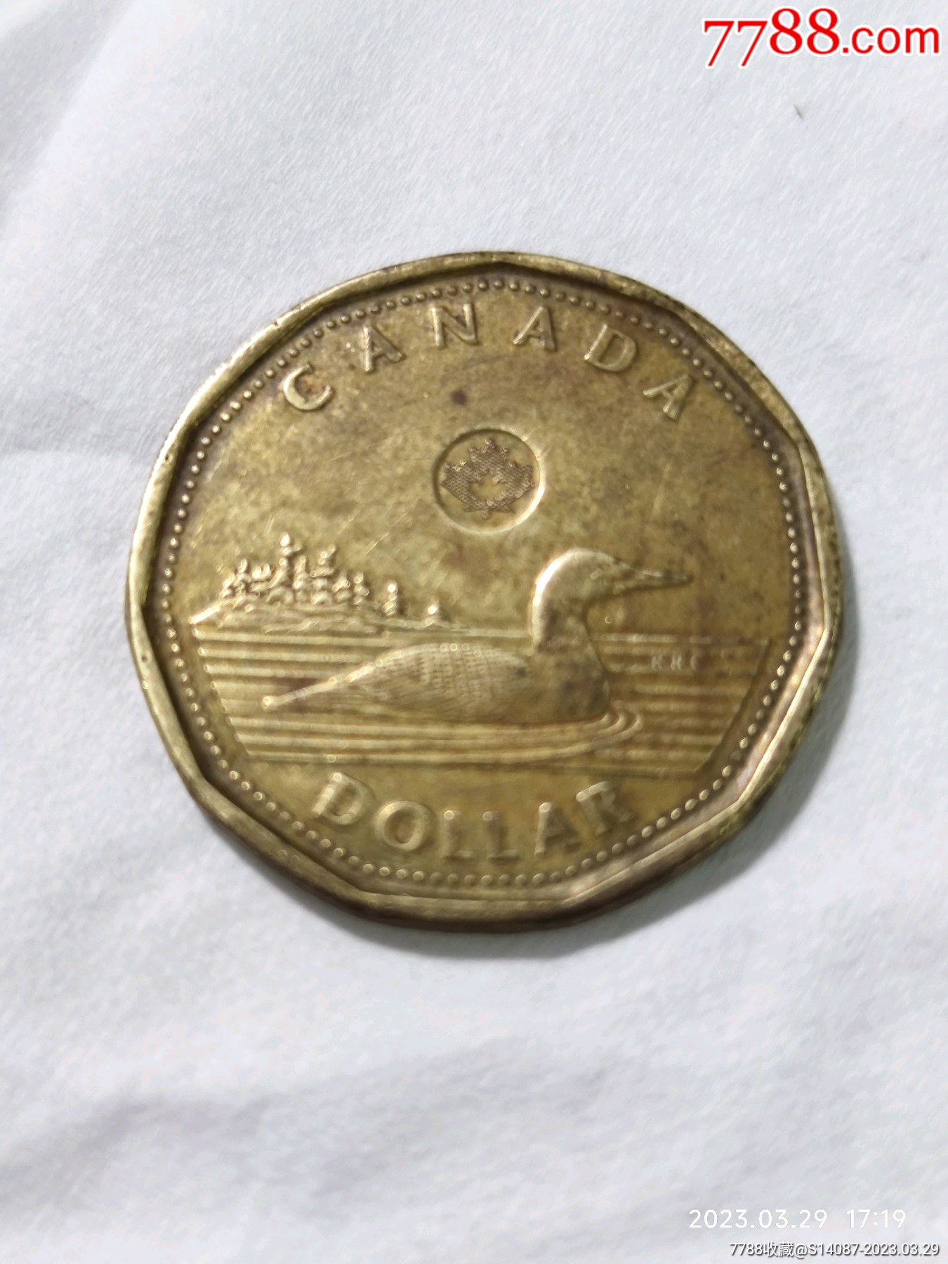 加拿大-2012年1元-潜鸟-外国硬币-流通品