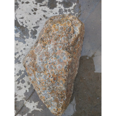 7788搪瓷收藏>首页>零售>其他奇石/岩石>奇石;龟纹石原石一个长14厘米