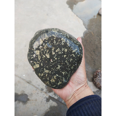 7788搪瓷收藏>首页>零售>其他奇石/岩石>奇石;龟纹石原石一个长14厘米