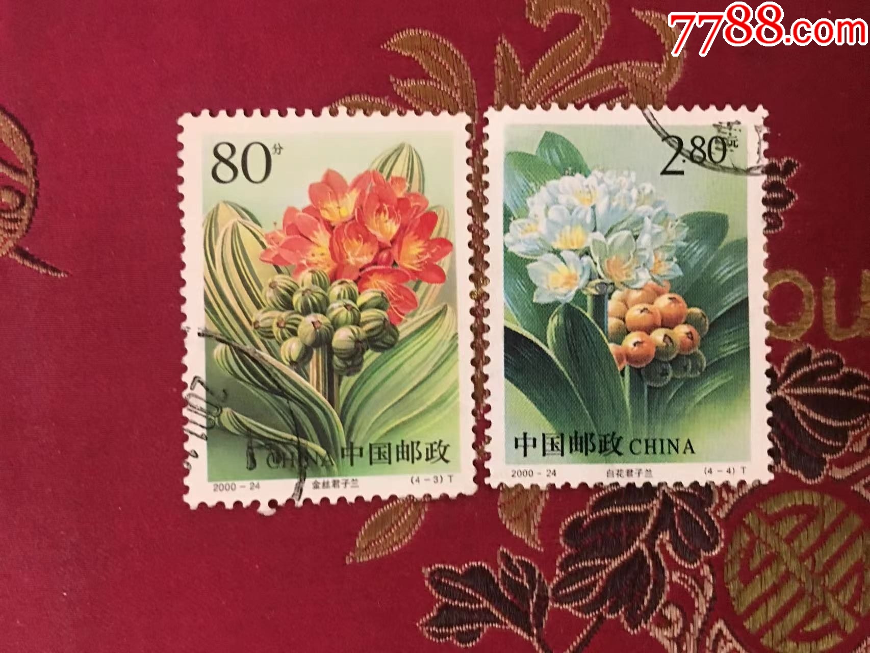 00年《君子兰》4-3金丝君子兰,-4白花君子兰信销票两枚_新中国邮票