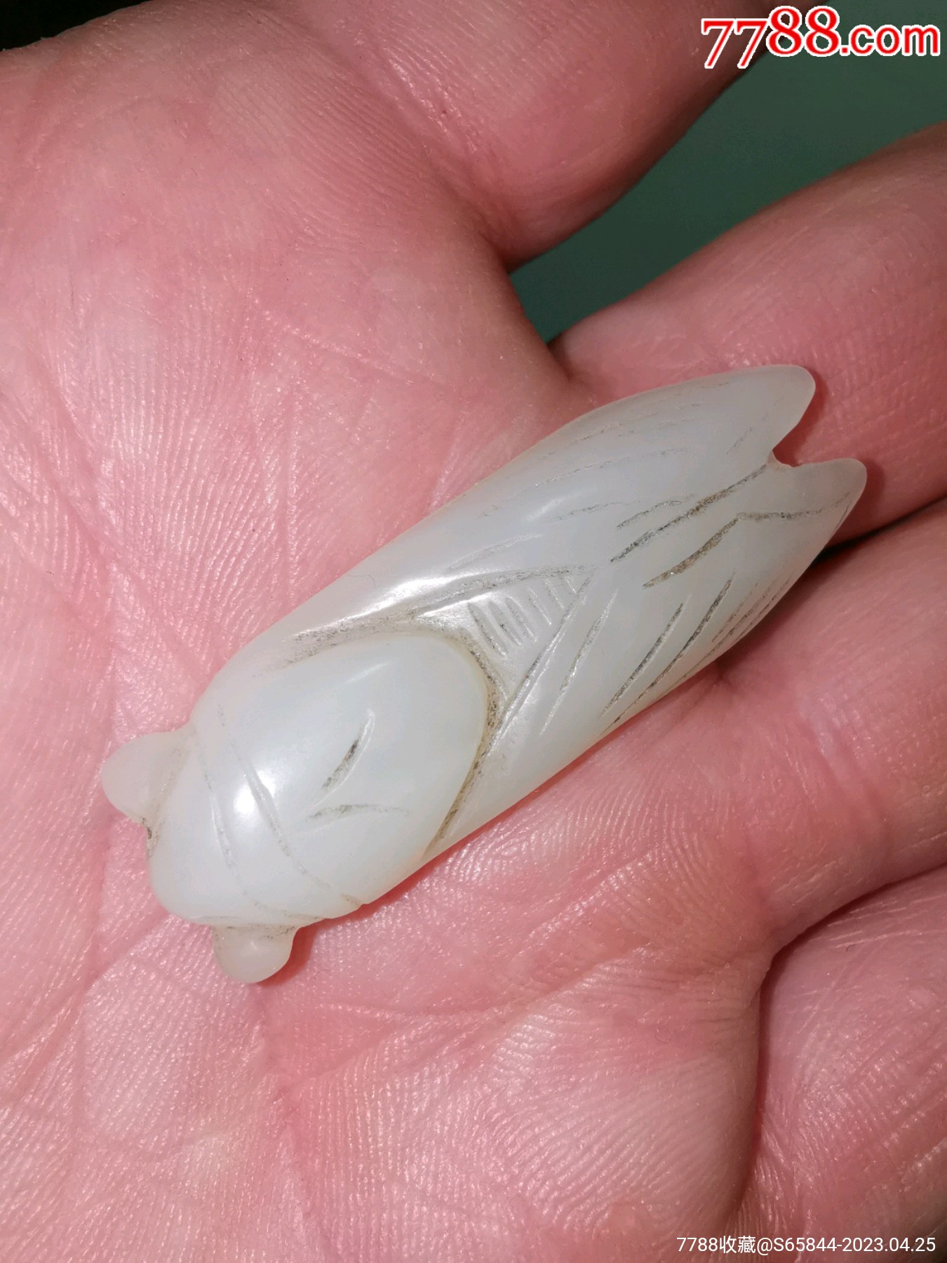 白玉玉蝉_价格50元【山西老货】_第1张