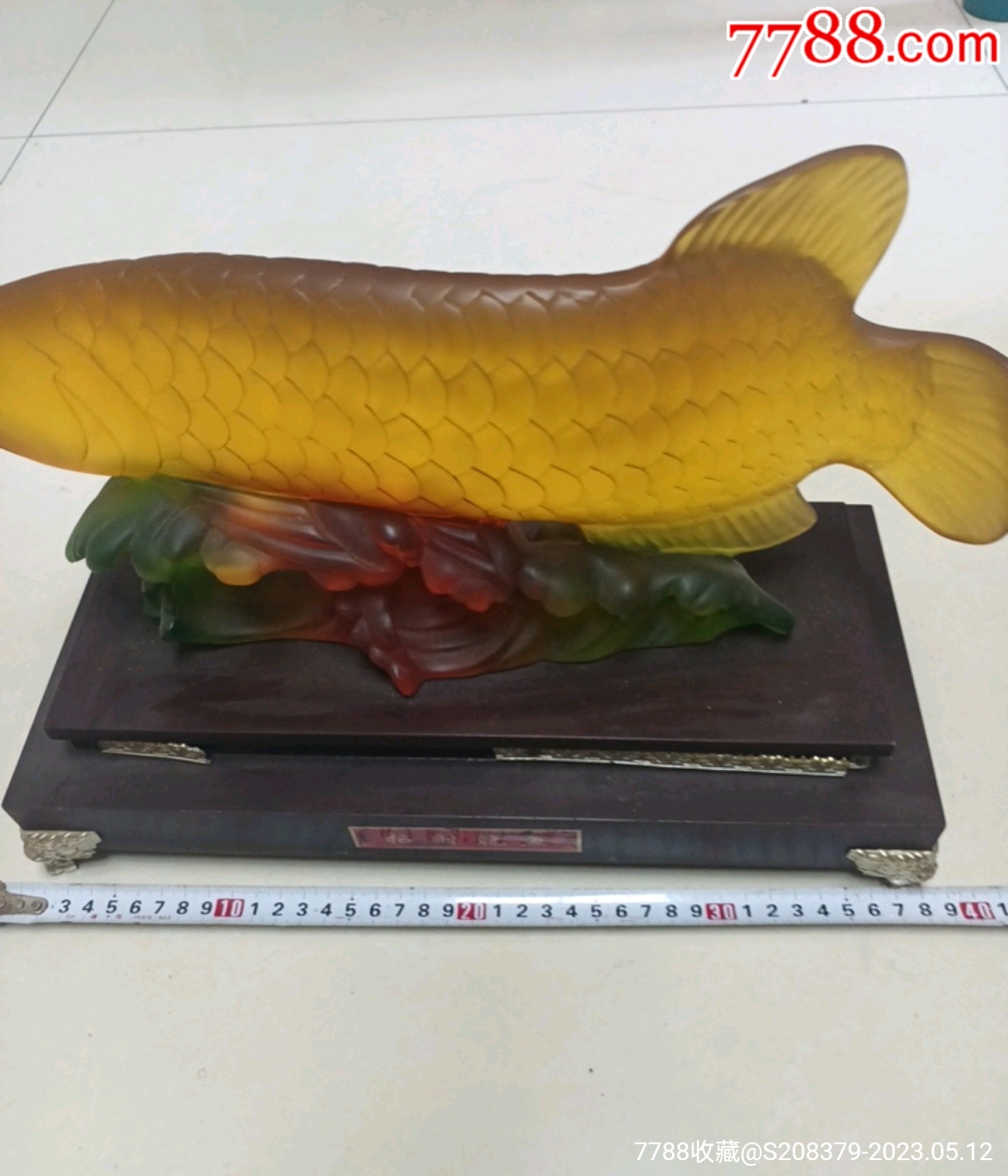 招財龍魚_價格31元【三瓜兩棗】_第1張_7788收藏__收藏熱線