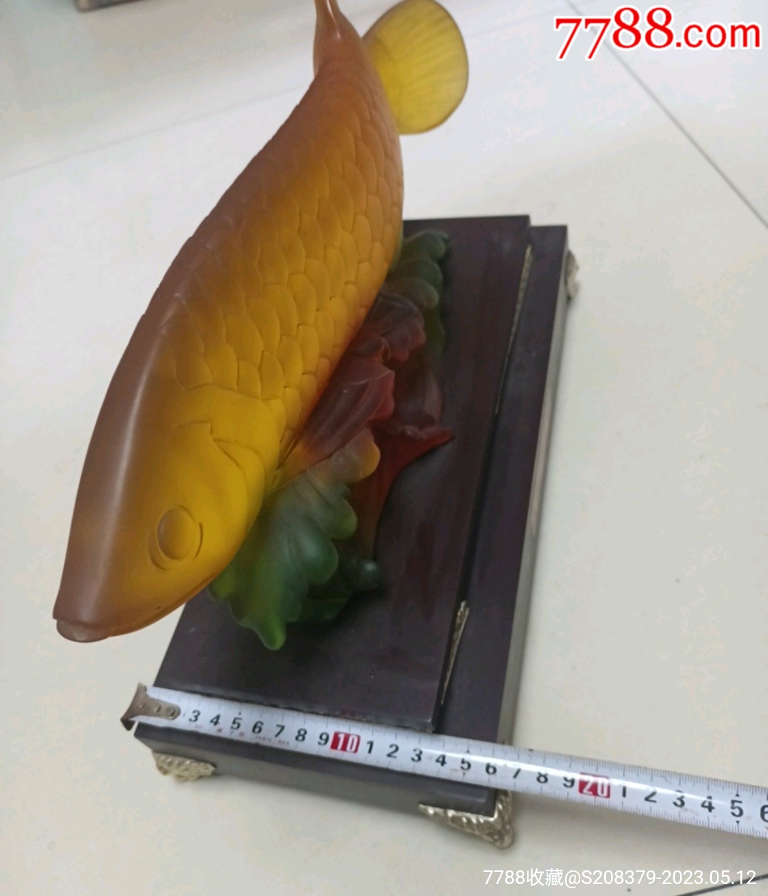 招財龍魚_價格31元【三瓜兩棗】_第2張_7788收藏__收藏熱線