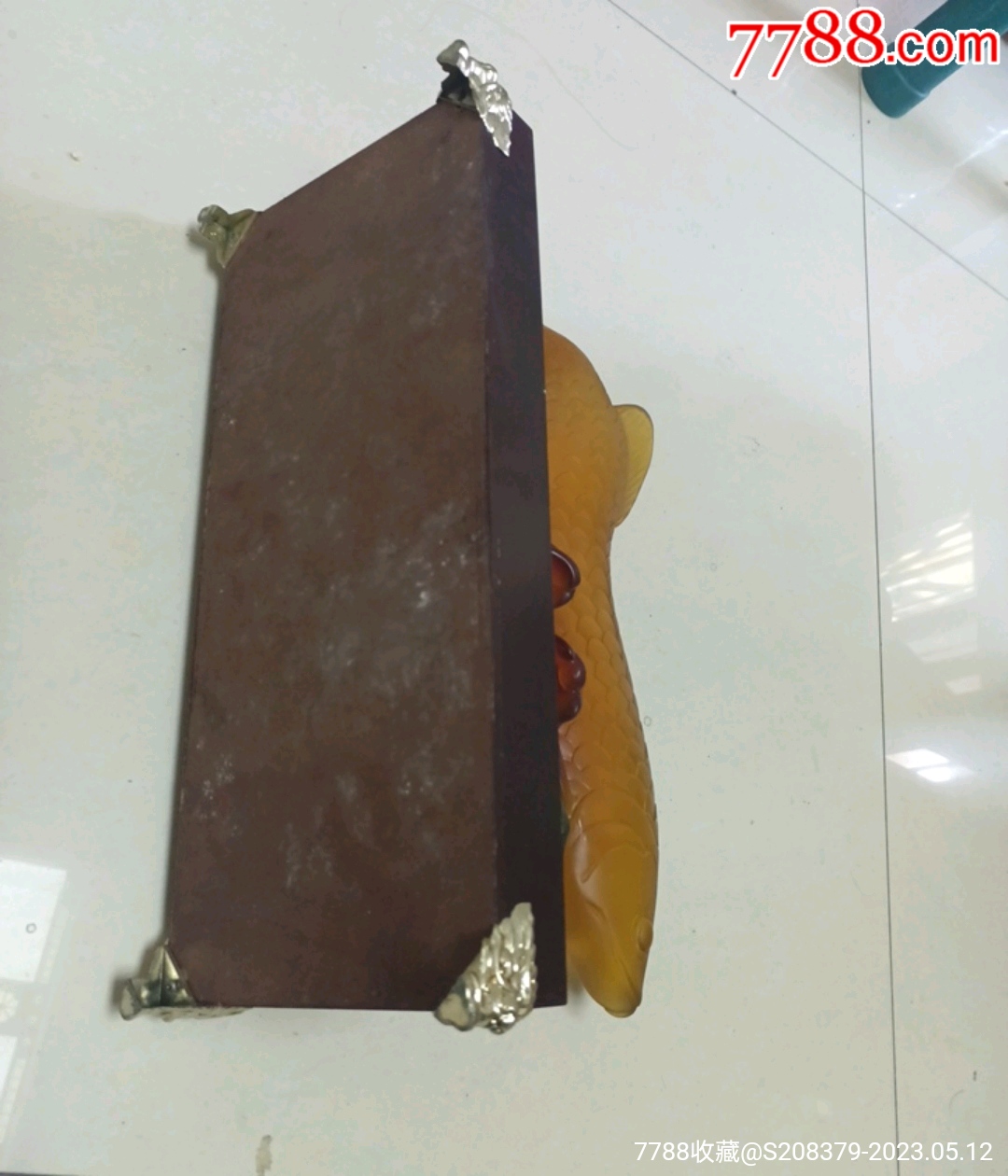 招財龍魚_價格31元【三瓜兩棗】_第4張_7788收藏__收藏熱線