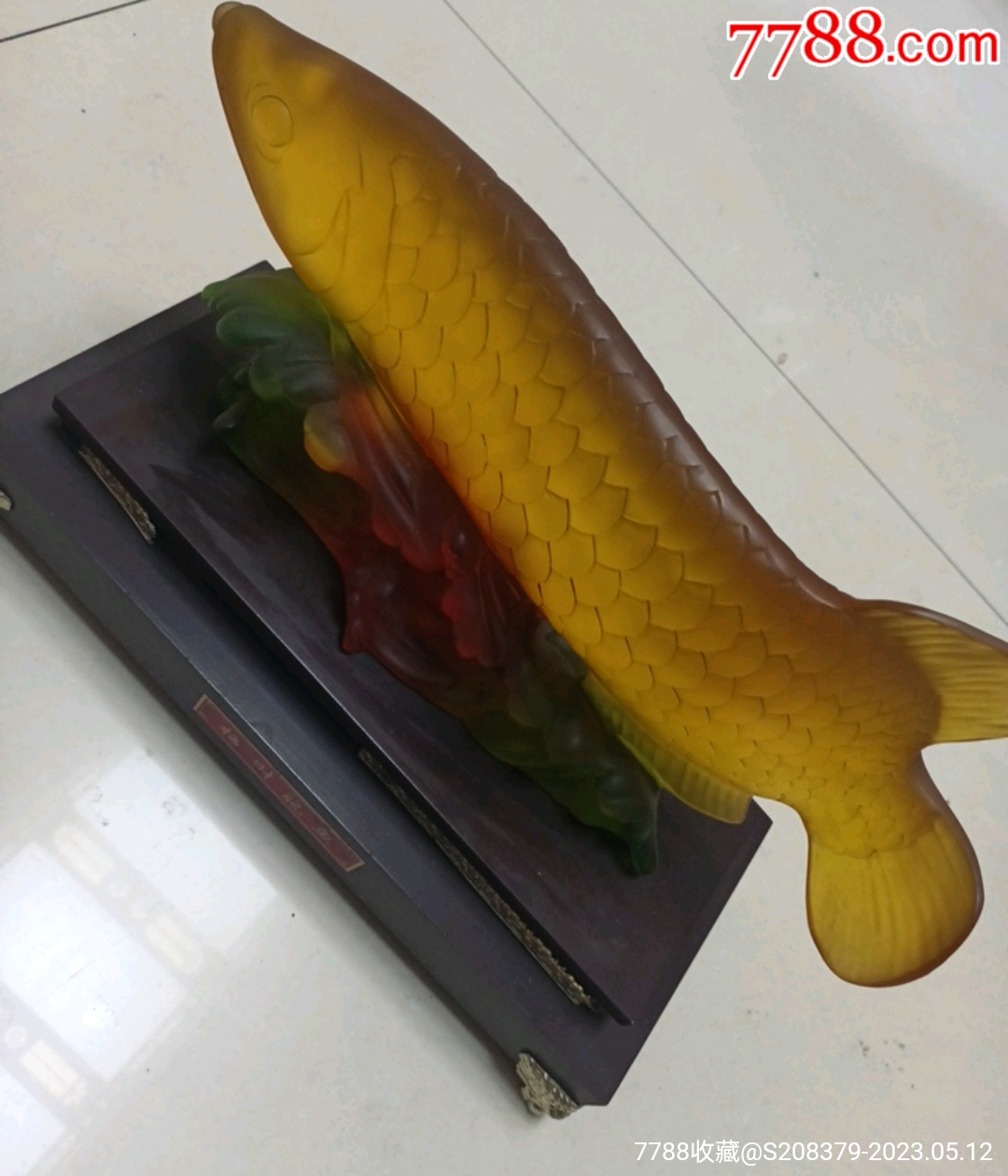 招財龍魚_價格31元【三瓜兩棗】_第5張_7788收藏__收藏熱線