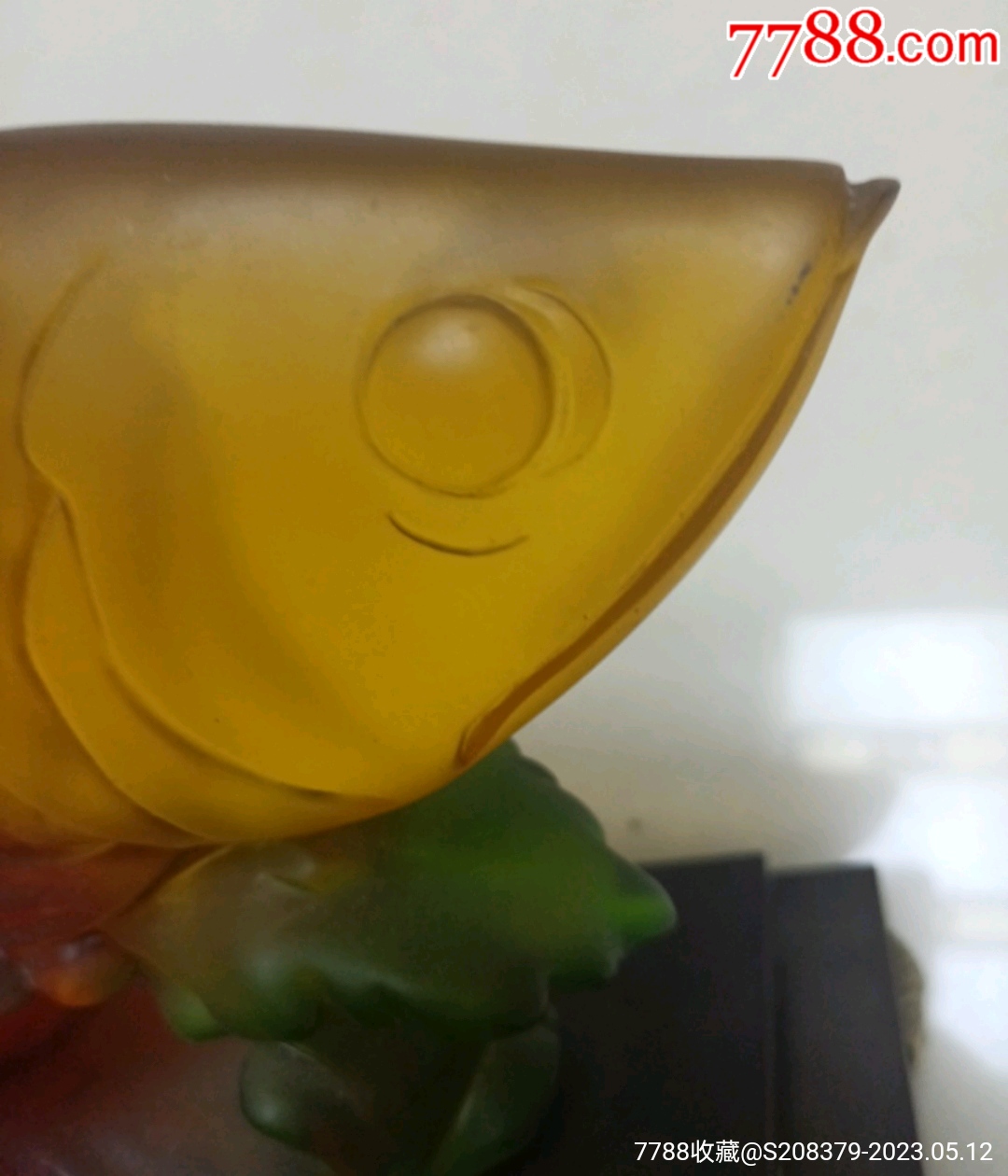 招財龍魚_價格31元【三瓜兩棗】_第7張_7788收藏__收藏熱線