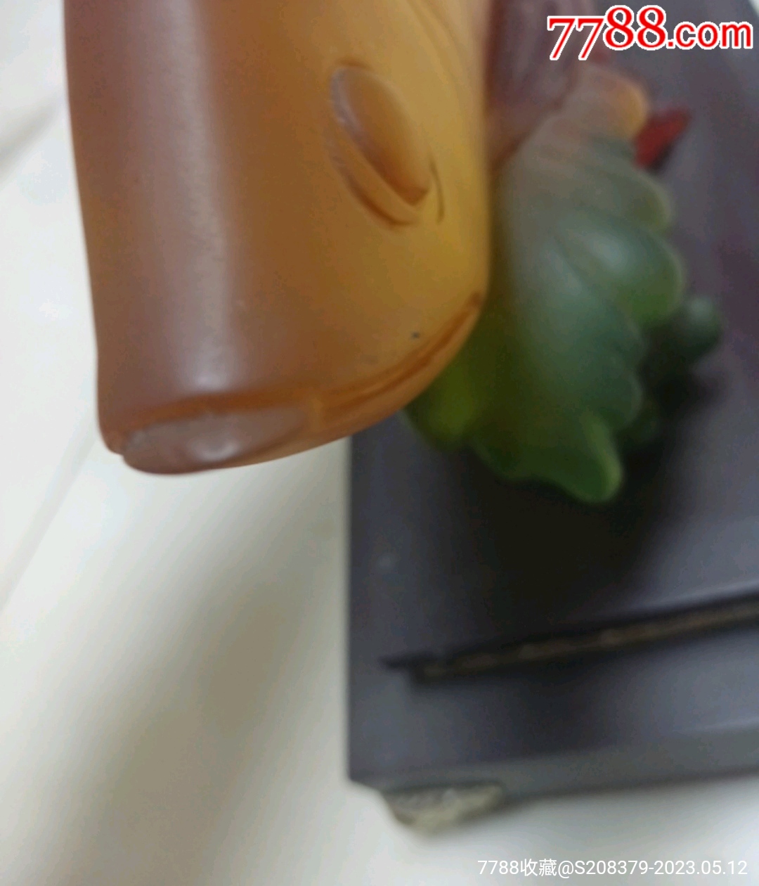 招財龍魚_價格31元【三瓜兩棗】_第8張_7788收藏__收藏熱線