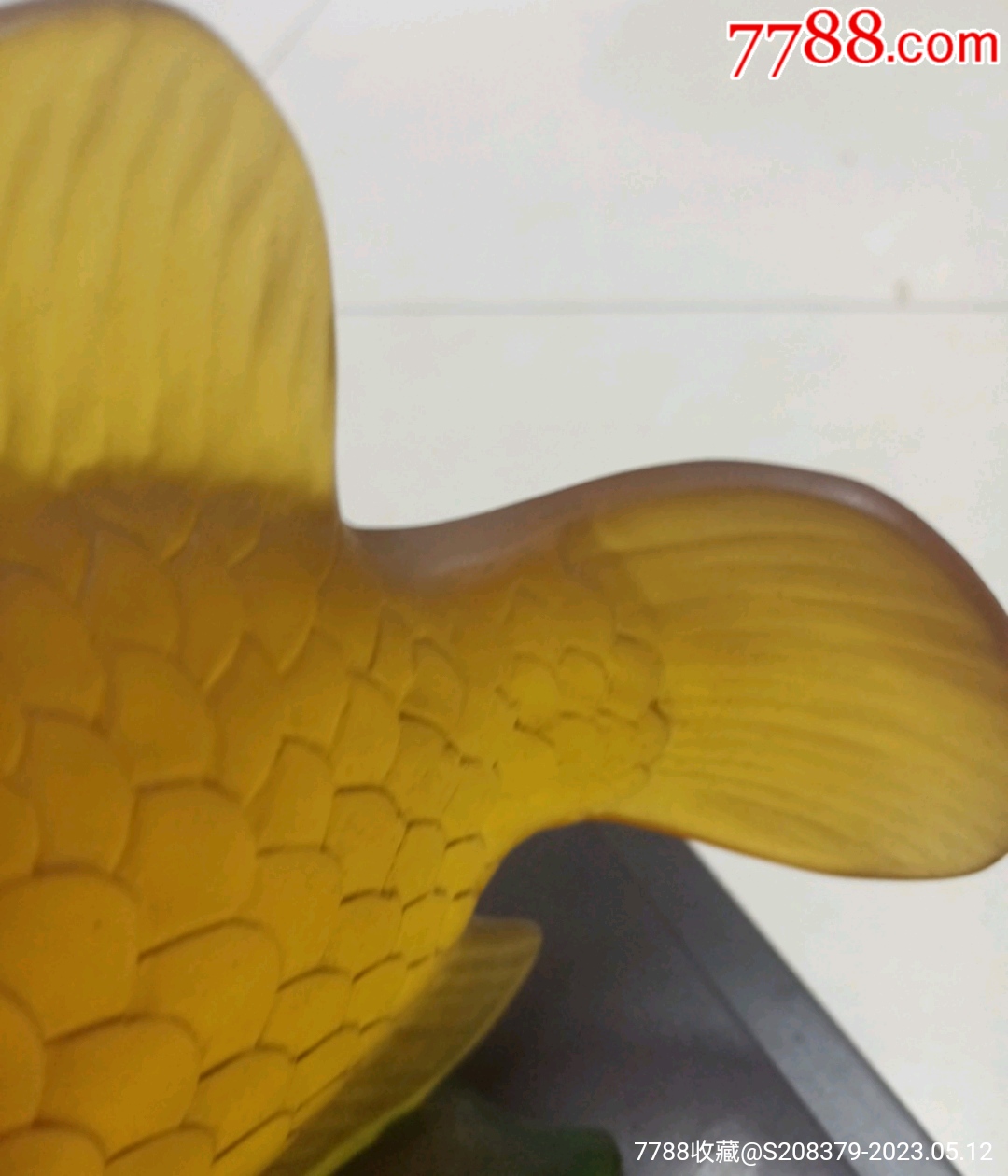 招財龍魚_價格31元【三瓜兩棗】_第9張_7788收藏__收藏熱線
