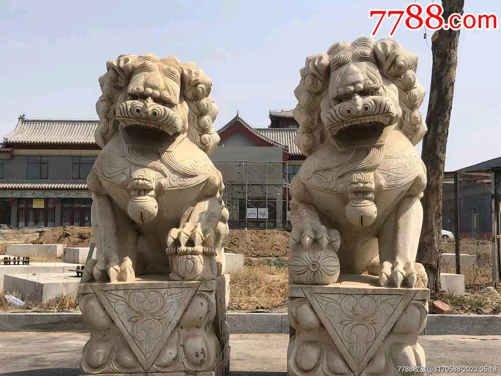 建筑素材设计政府工作部门建筑门前的石狮子雕像是权利的象征