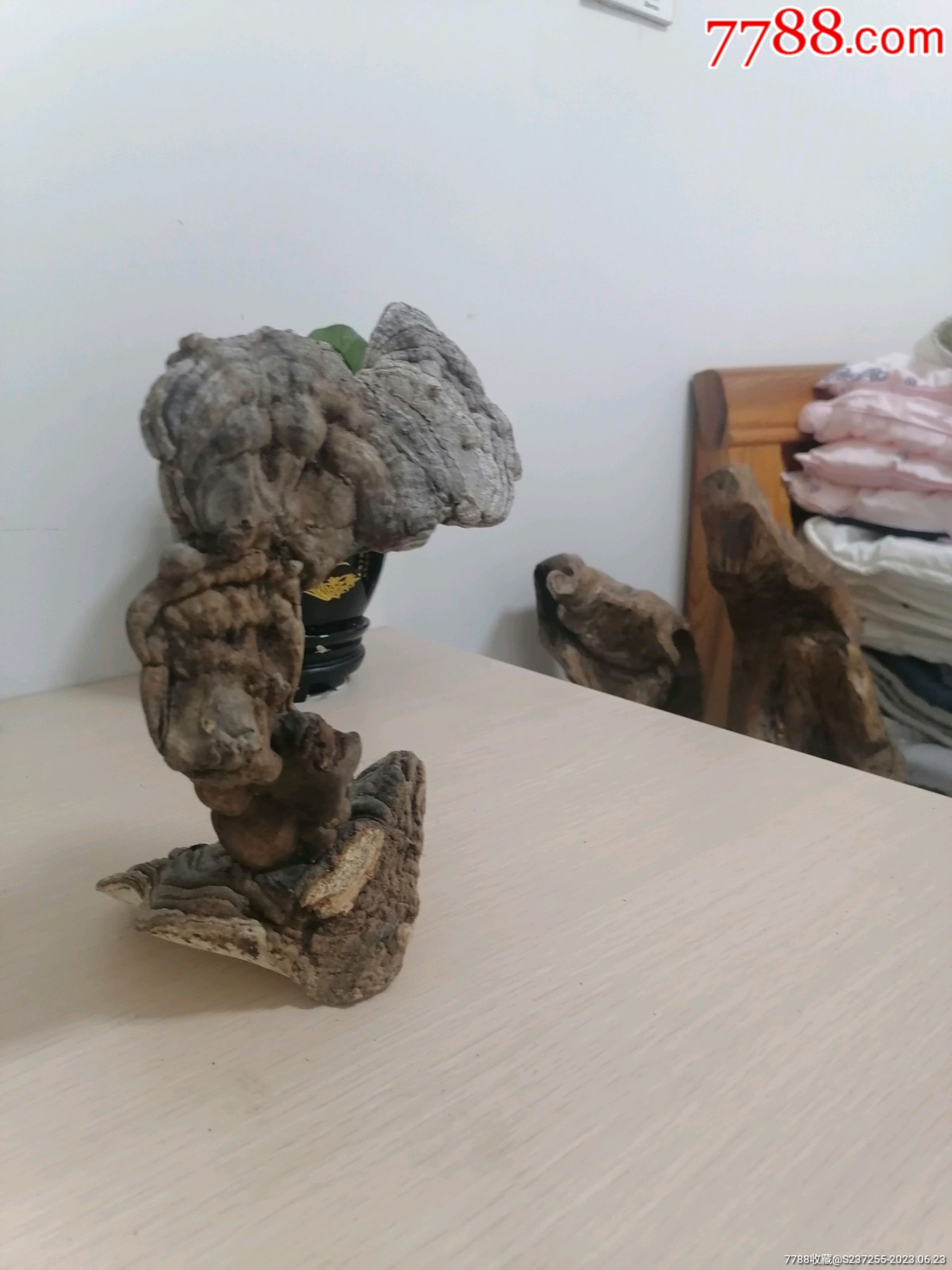 天然野灵芝摆件,座也是天然野灵芝,整体高25厘米左右,纯天然的,没有任何处理,喜-价格:48元-se94656127-其他工艺品-零售 ...