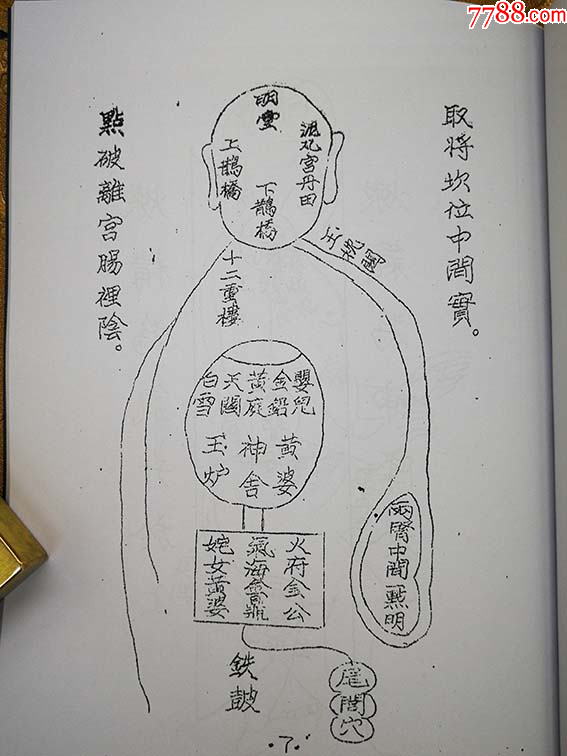 九序摘言内景图_第6张_7788旧书网