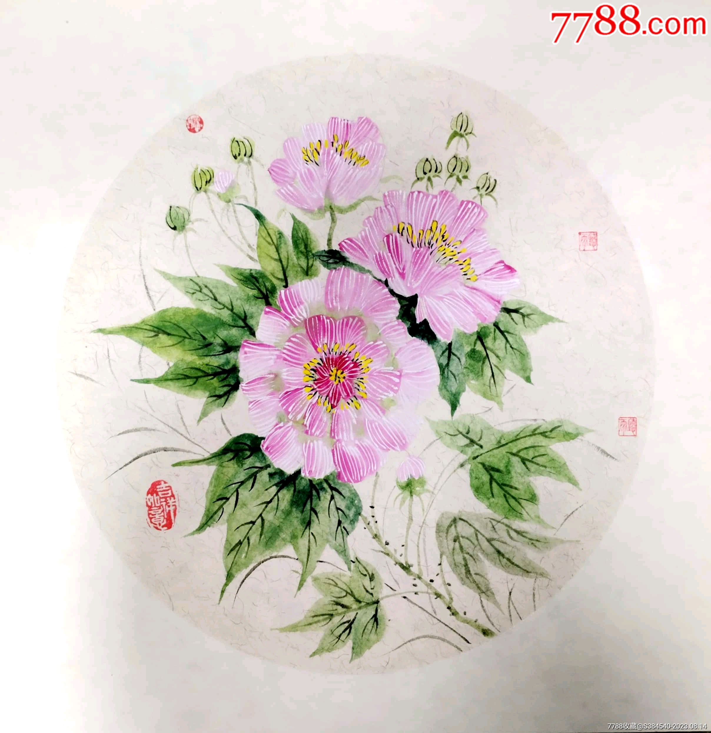 中国手絵畫 花 中国画手绘原作芙蓉花小品清韵高雅-花鸟国画原作-7788红宝书