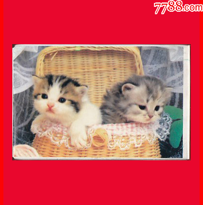 宠物猫扑克精品台湾产NO.9670902_山东宝源斋【7788商城__七七八八商品交易平台(7788.com)】