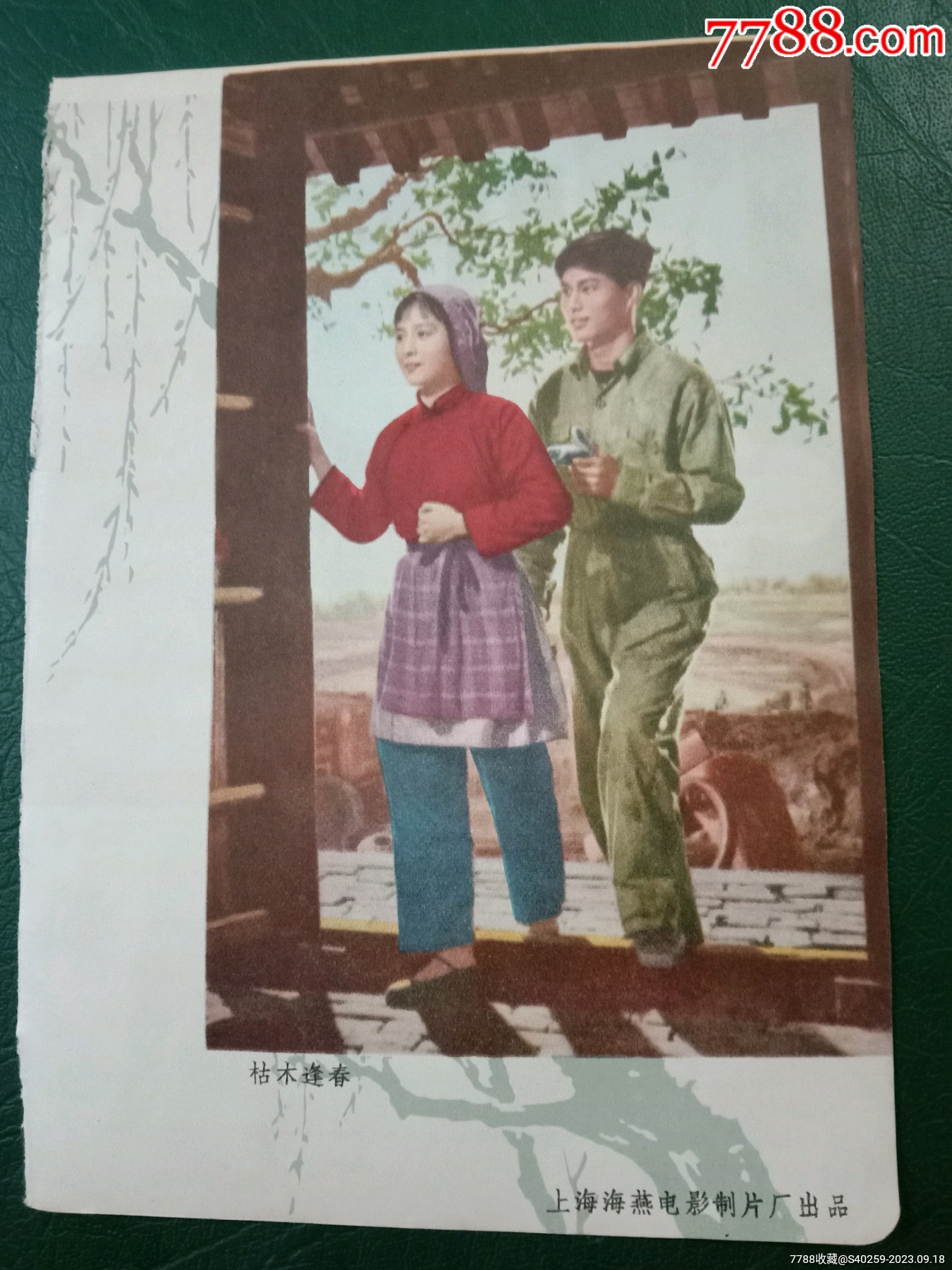 1950年代《老电影宣传画～枯木逢春/甲午风云_价格9元_第1张_7788收藏__收藏热线