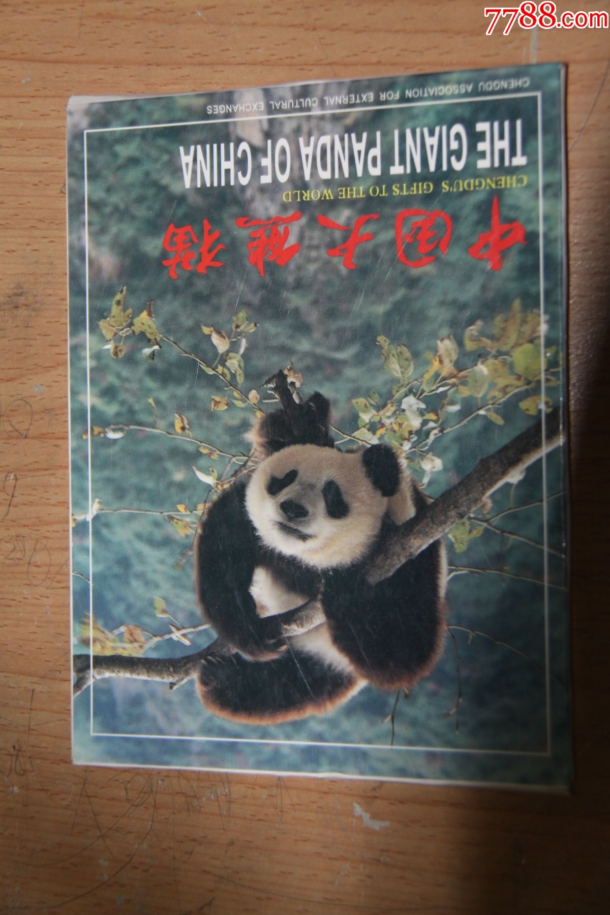 中国大熊猫明信片_普通明信片_新宇藏吧【7788收藏__收藏热线】
