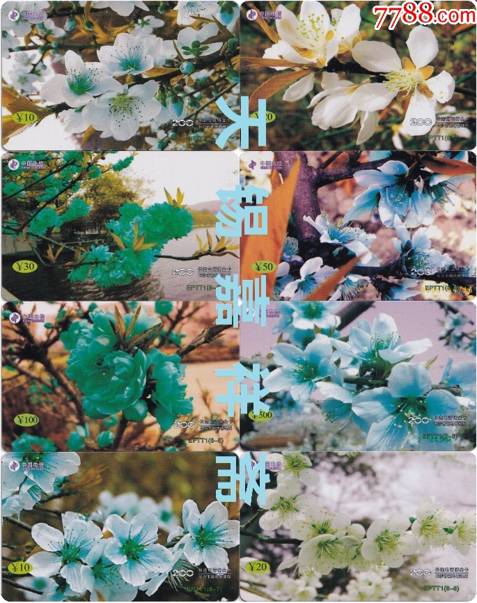 趣味收藏--花--EPTT1【8全】_IP卡/密码卡_图片价格_收藏交易_7788集卡网
