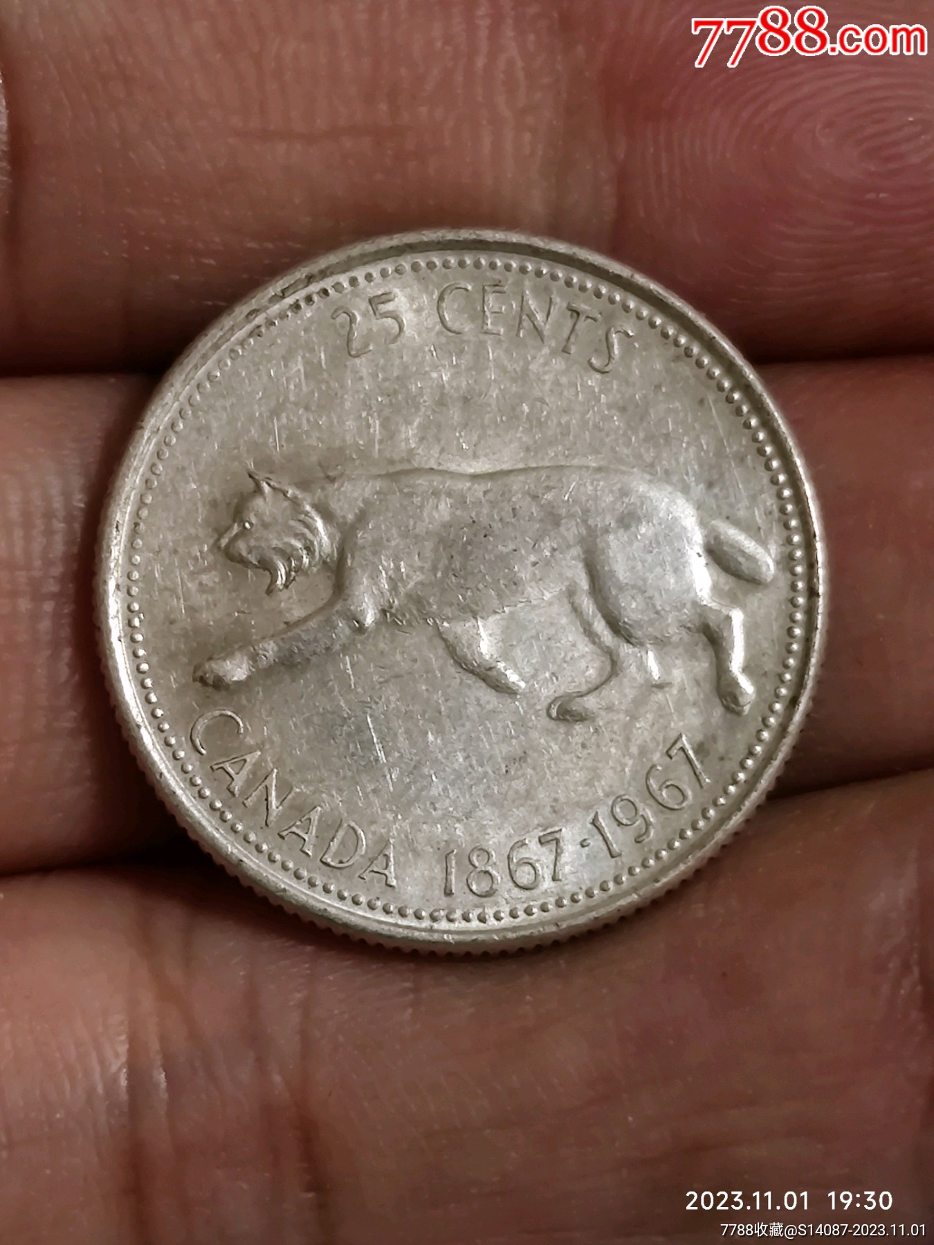 加拿大1967年25分银币（高银版），联邦百年纪念-赤猞猁，5.83g，_加拿大钱币_一泉堂烟标店【7788旧书网】