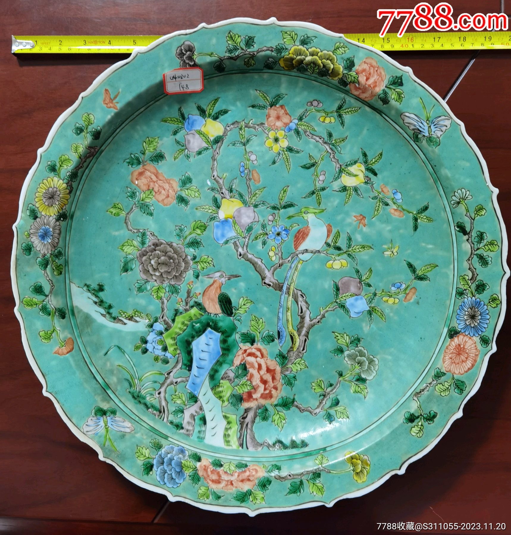 46535908.jpg
