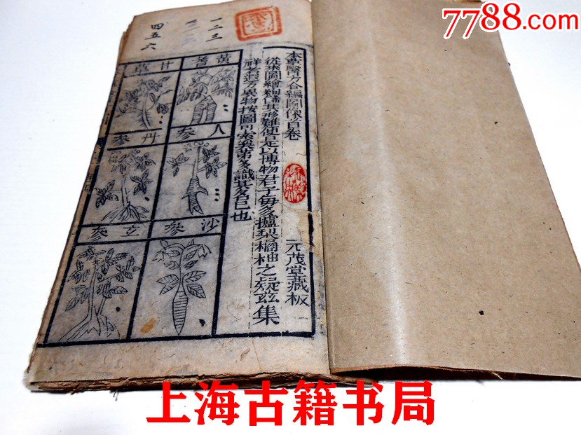 中医草药图，木刻板画【#6271】-古籍/善本-7788红宝书