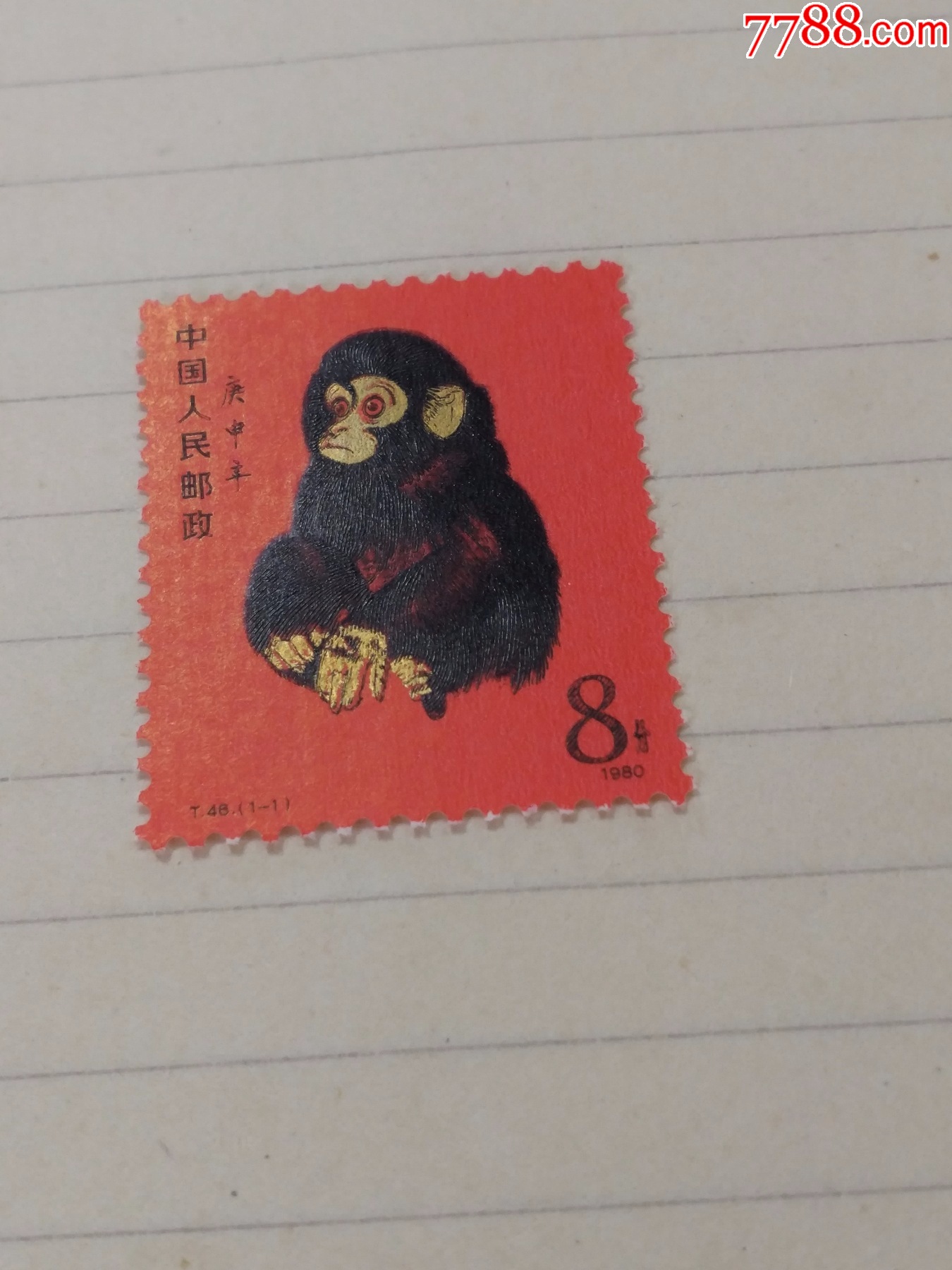 ͼƬ´ڴ򿪲鿴