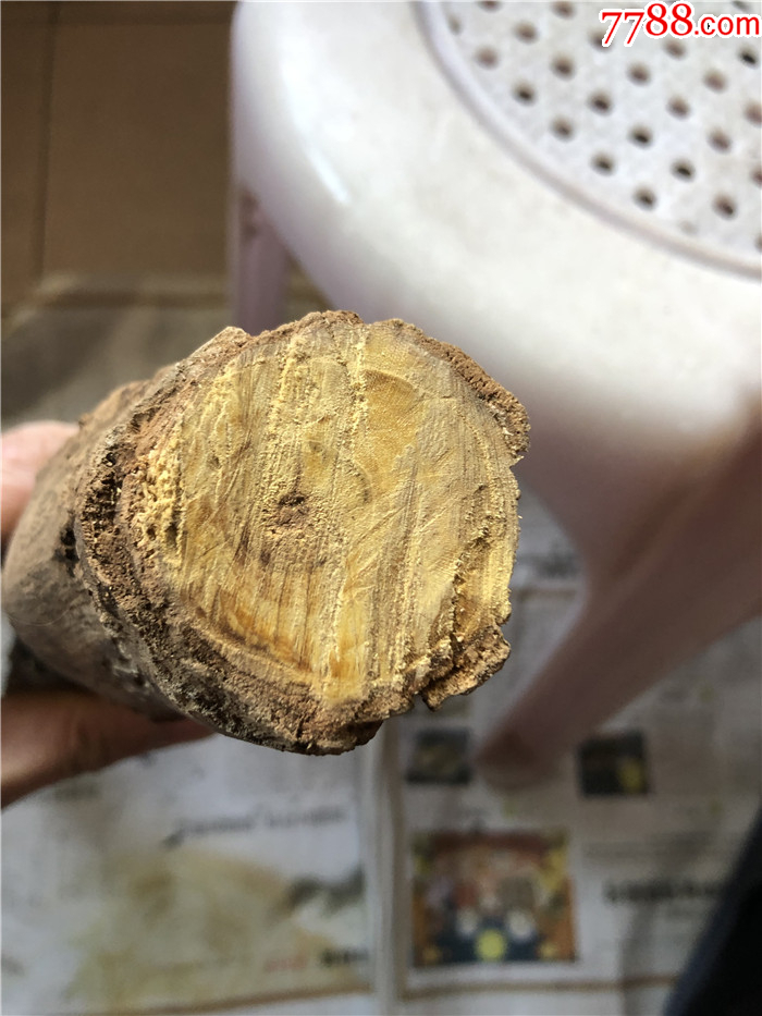 黄连木树枝可做珠子_其他根雕/木雕_图片收藏_回收价格_7788手表收藏