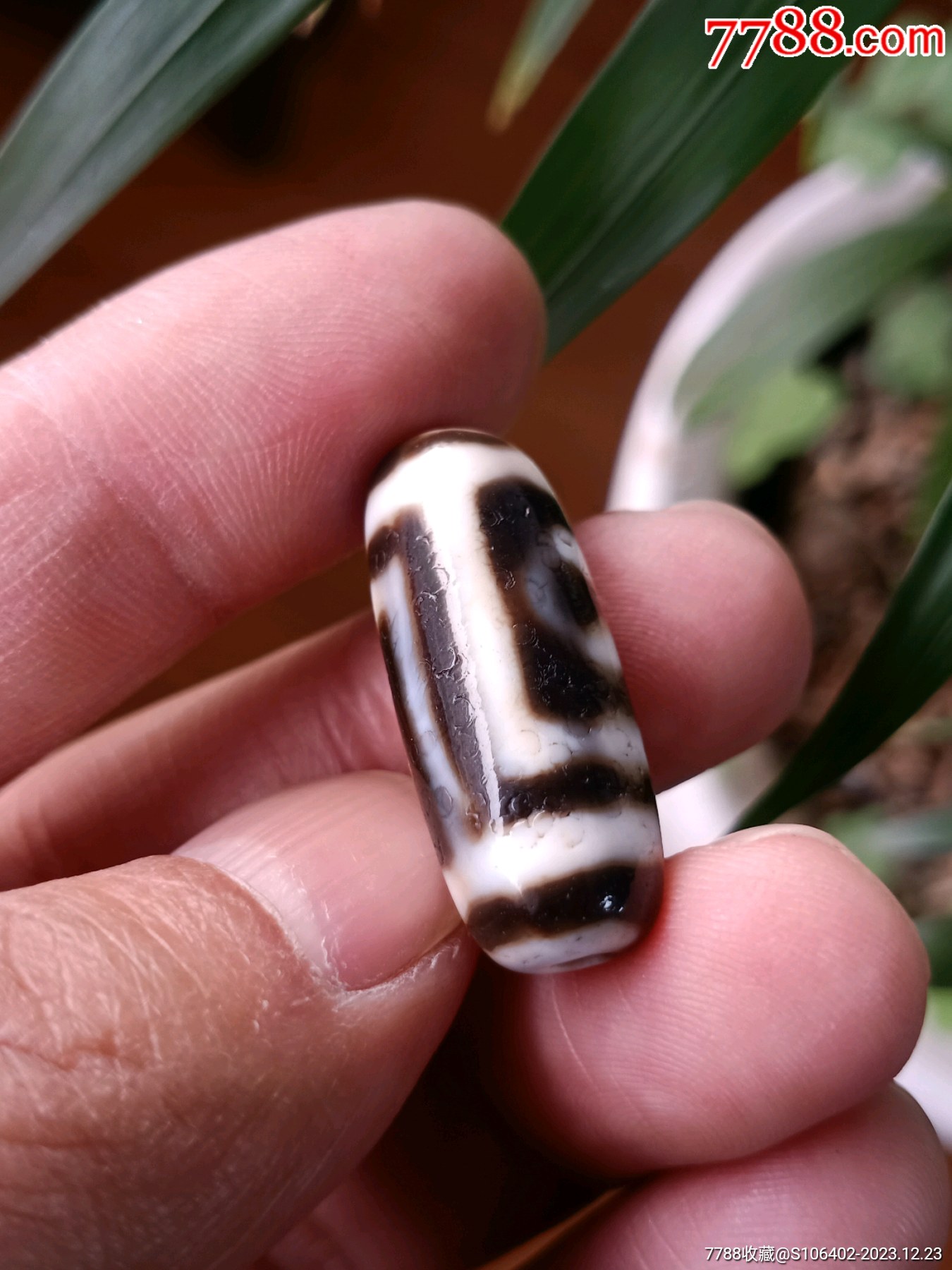 老天珠,黑白分明品相完美,3公分左右,非常温润,橘皮纹,马蹄纹明显,一眼老_玛瑙/宝石手串_海上闻人【7788收藏__收藏热线】