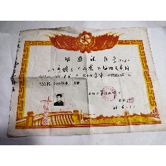 老票证收藏1981年海阳县东村十八中老毕业证原老照片