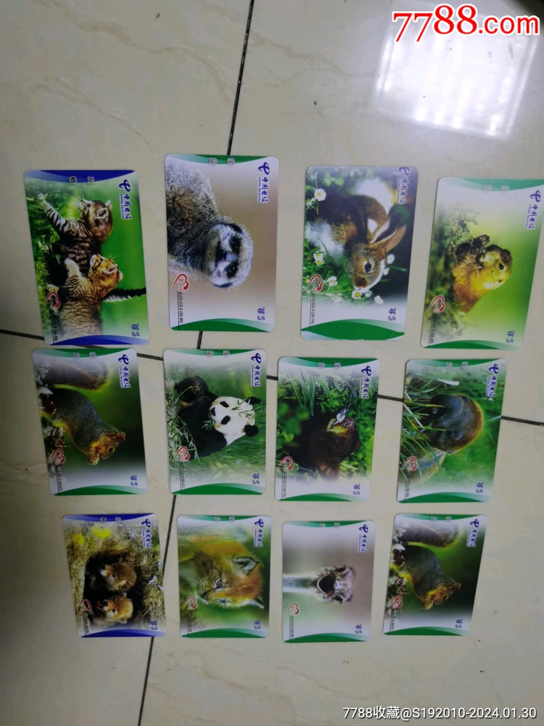 中国电信IP卡12枚（样卡，有熊猫）_IP卡/密码卡_种类图片_收藏价格_7788茶具