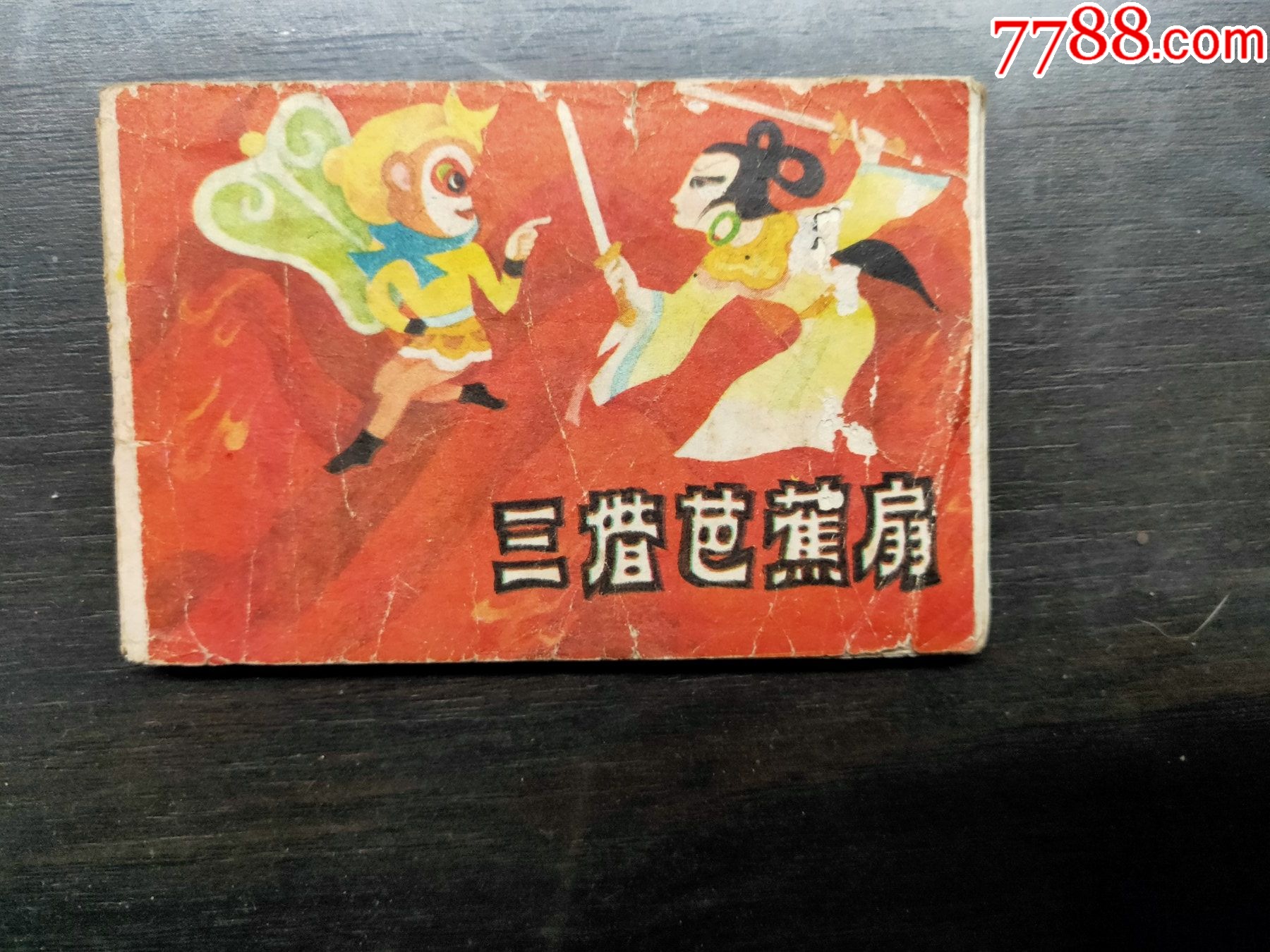 金色韻味｜迷你蘭花-蘭日子DailyOrchid