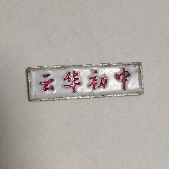 云南电大老校徽_烽杭杂件古玩店【7788商城__七七八八商品交易平台