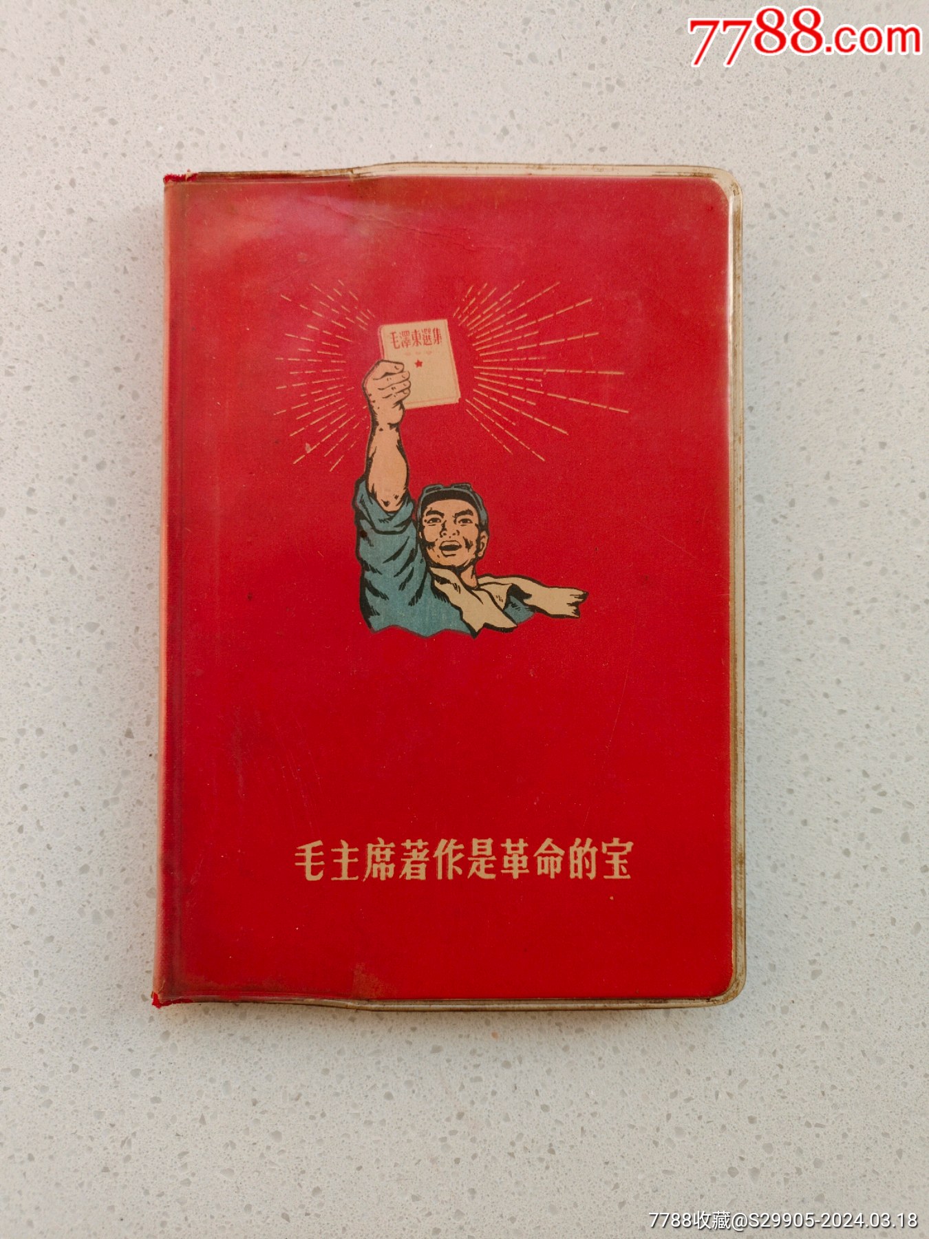 48677442.jpg