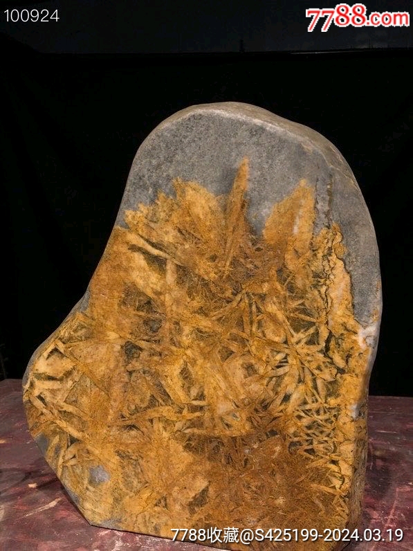 茶室雅置——竹叶石赏石,黄金竹叶石纹,因竹叶谐音助业得文人雅士喜爱,器型圆润流畅_其他奇石/岩石【我是地瓜】_第7张_7788工艺画