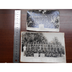 老照片80年代临江林业局大门前合影