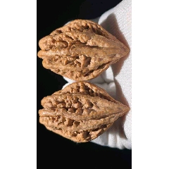 文玩堂：三角蚂蚁勾核桃（高级小众） Pair of Match Chinese Health Walnut 40×40×37mm精配文玩核桃