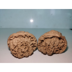 休日限定 文玩核桃（异形）-----蛇头（精选配对，成对出售），一物一拍_文 その他