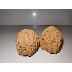 文玩核桃----红宝石（成对出售，低价惠让，上色好看），一物一拍