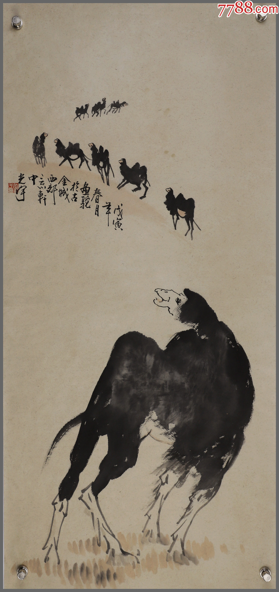 张光宇骆驼江苏无锡人