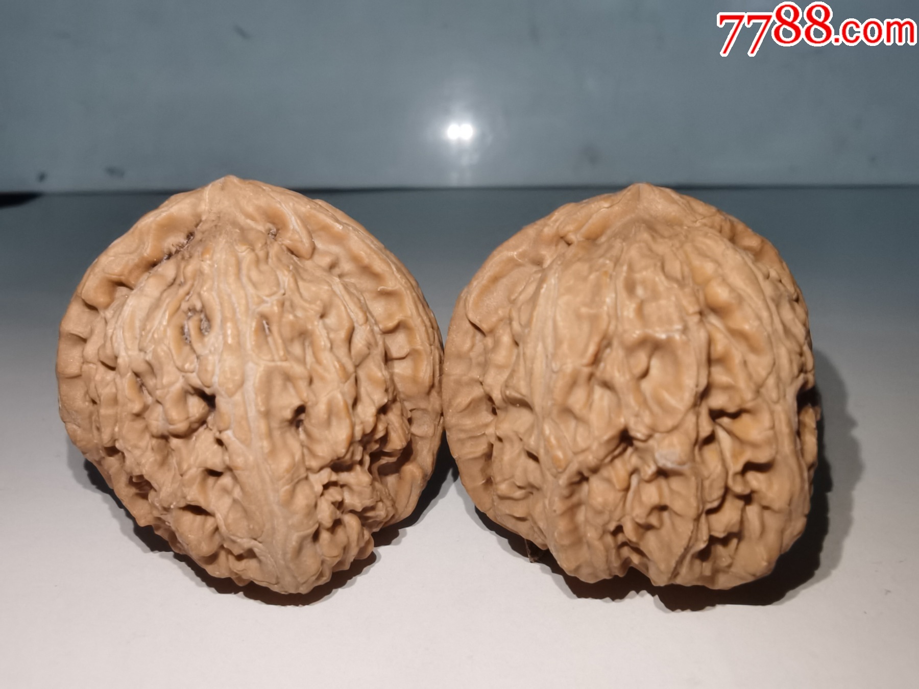文玩核桃----三角白狮子（成对出售，上色快，色泽好看），一物一拍_文