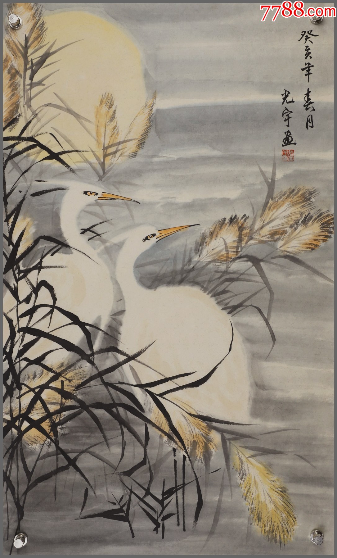 张光宇,江苏无锡人