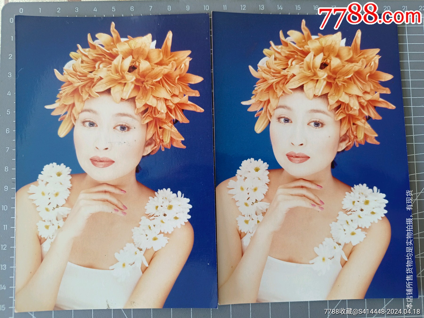 杨林YangLin,DianaYang本名杨一珍,照片17张合售(含5寸6张_专辑卡/明星卡片_明星照片搬运者【7788收藏__收藏热线】