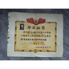 1956年辽宁省沈阳市第十六中学毕业证书