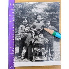 约六七十年代儿童留影老照片，儿童车，上海西郊公园，照片清晰完好有说明-￥17 元_老照片_7788网