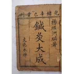 完訳 鍼灸大成☆(全2冊)☆ bk4862511996.jpg