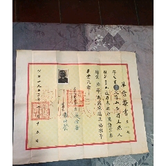 东北师范大学毕业证书（加该生1950年同学合影照片1张5.5x7.8cm）195