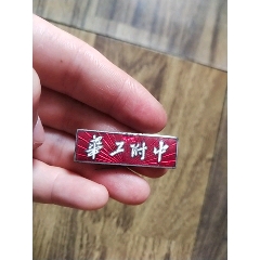 中南财经大学-价格:160元-se100857551-校徽/毕业章-零售-7788集邮网