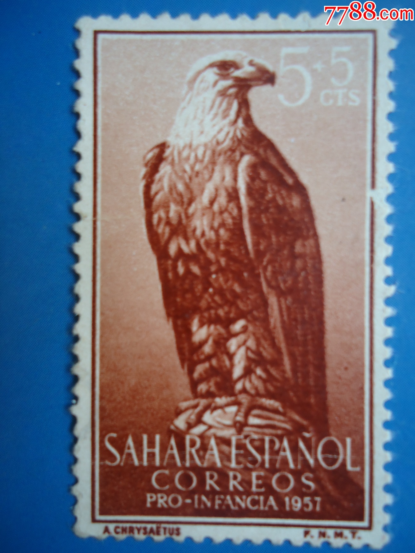 西撒哈拉1957年发行《白头海雕》