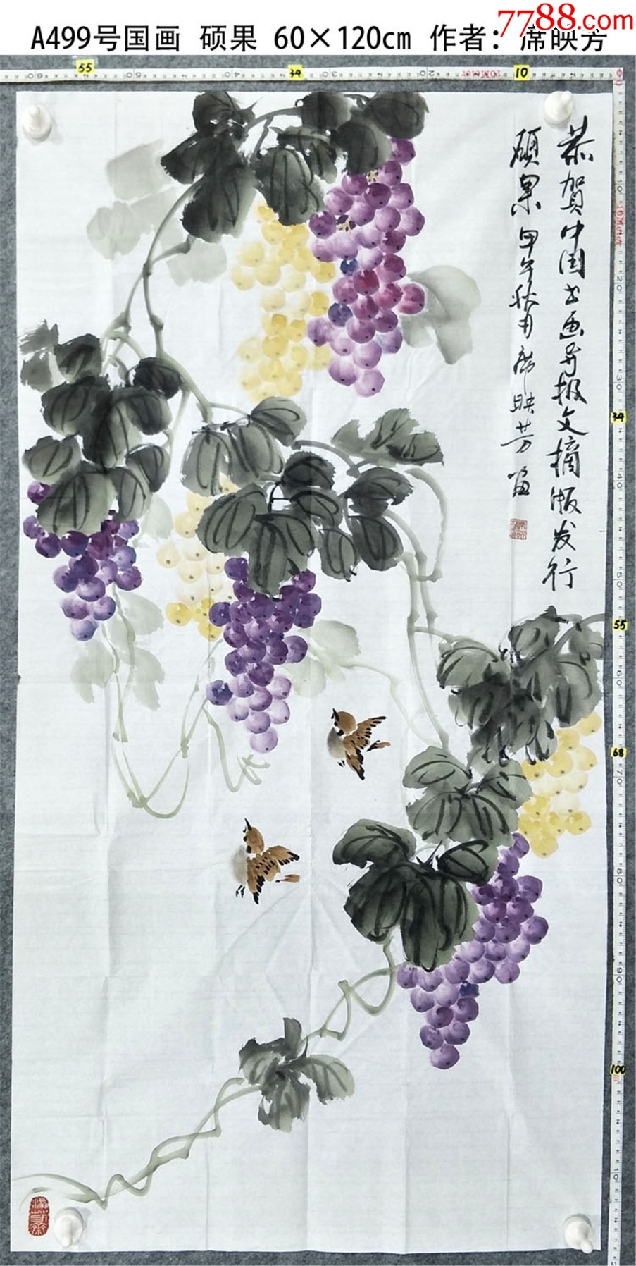 A499号国画葡萄硕果60×120cm作者：席映芳_花鸟国画原作_图片鉴赏_收藏价值_7788古籍收藏