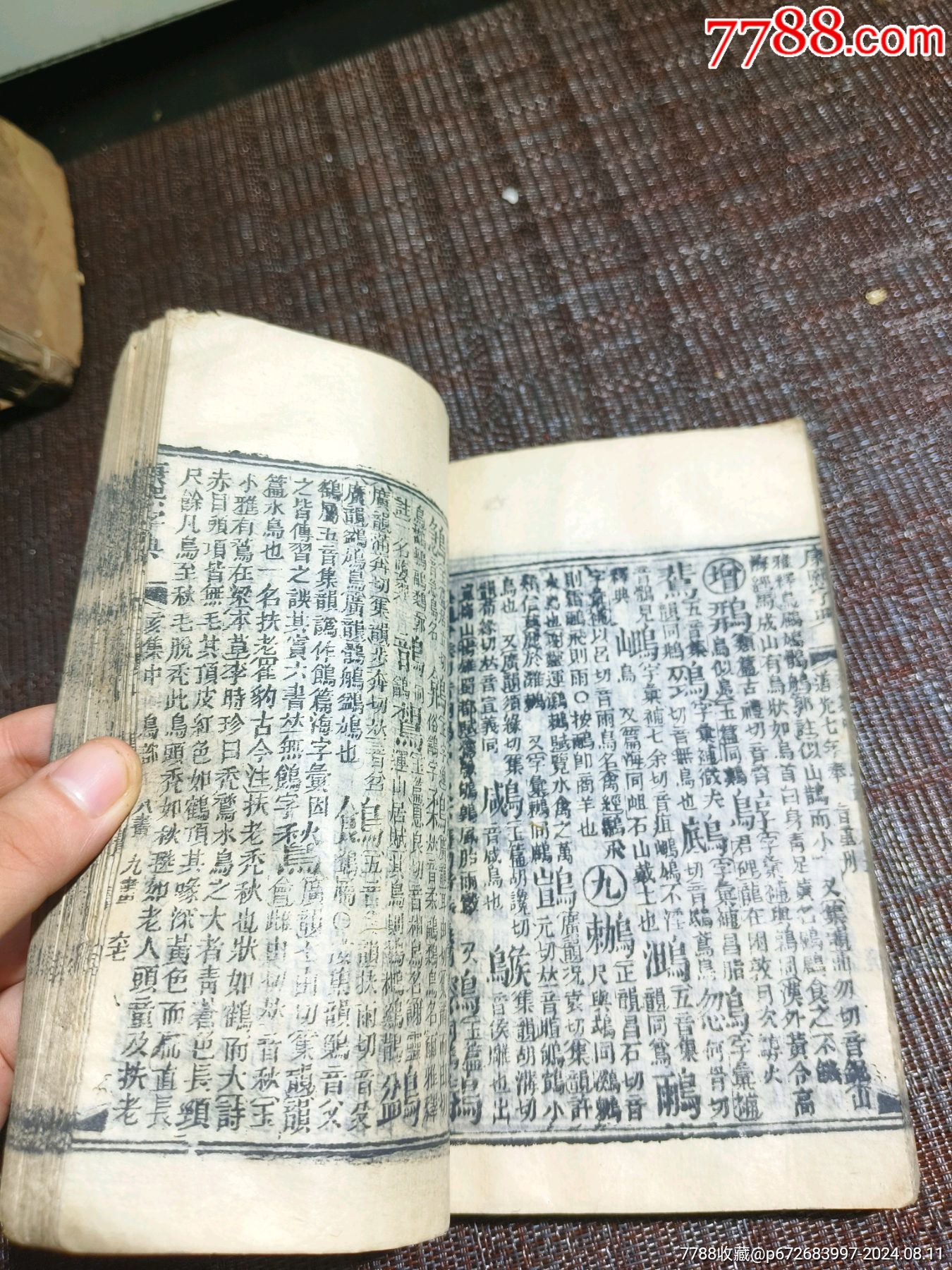 道光緒七年重刊《康熙字典》完整一整套共13本40集_價(jià)格2500元【江西鄉(xiāng)巴佬】_第12張_7788收藏__收藏?zé)峋€