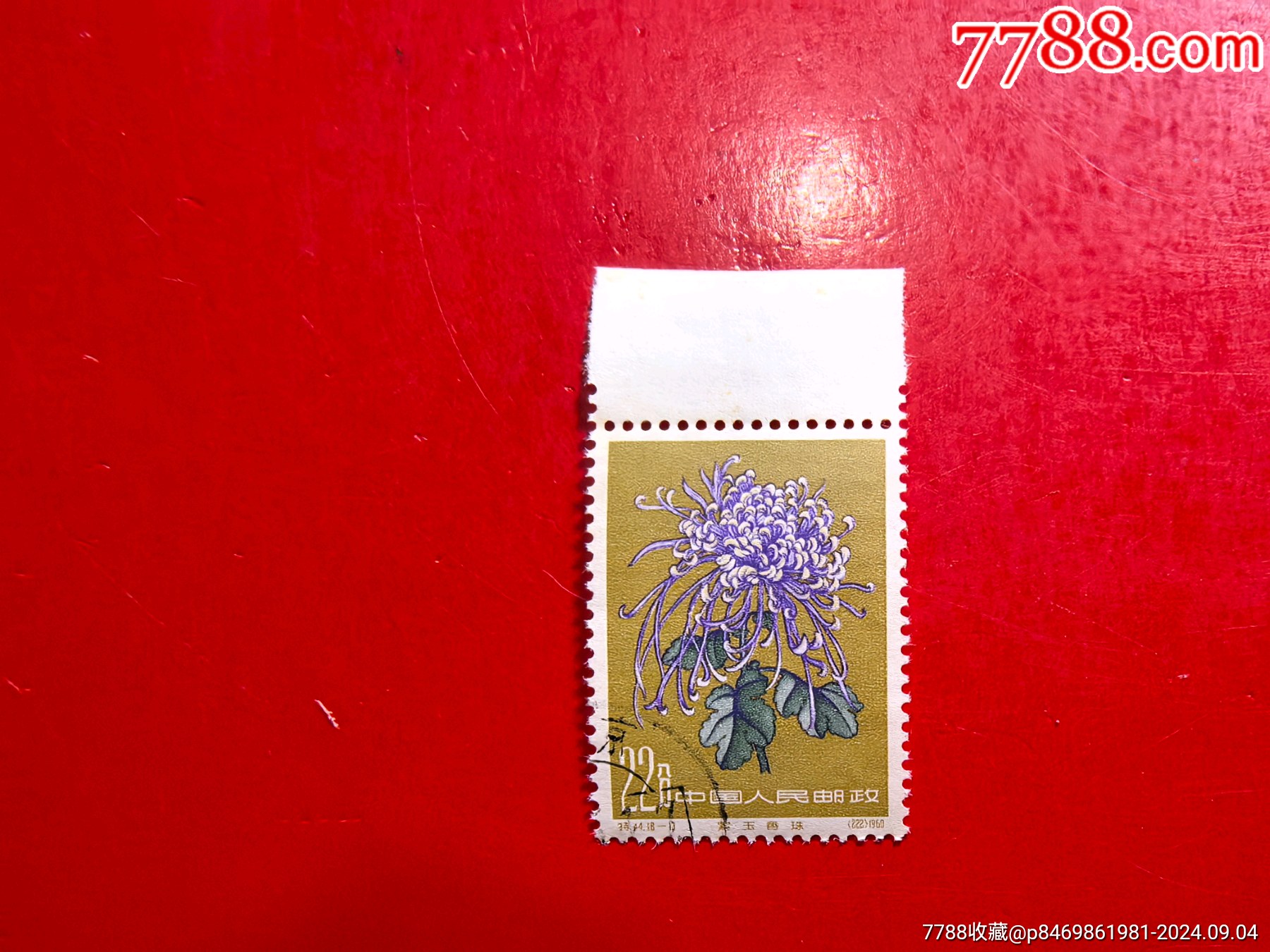 特44菊花黃22分蓋銷_價格100元_第1張_7788收藏__收藏熱線