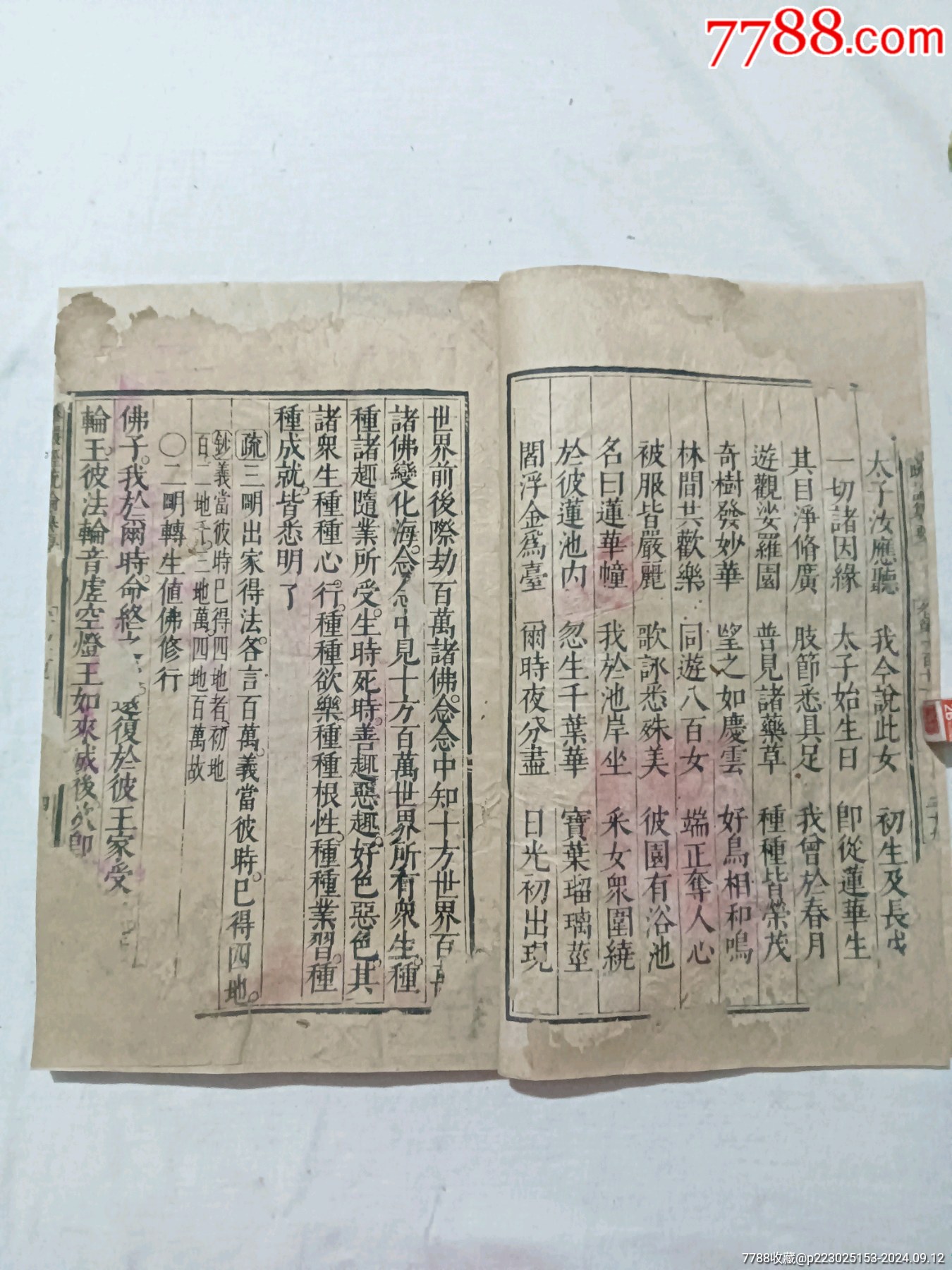 清：大方廣佛華嚴(yán)經(jīng)疏論纂要。一冊(存第110～111卷)。該書開本宏大，_價(jià)格4680元_第7張_7788收藏__收藏?zé)峋€